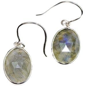 Labradorite Dangler Earrings